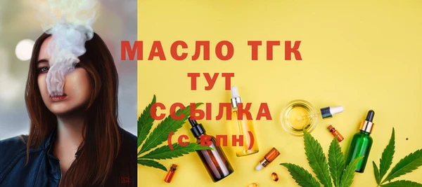 гидра Богородск