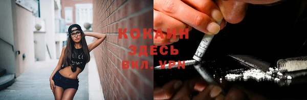 гидра Богородск