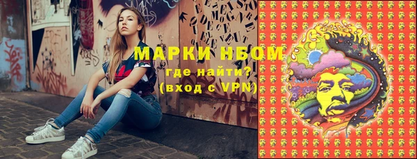 гидра Богородск