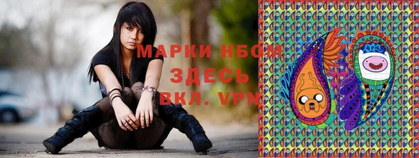 гидра Богородск