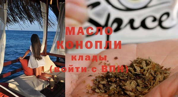 гидра Богородск