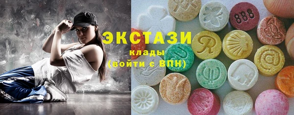 гидра Богородск