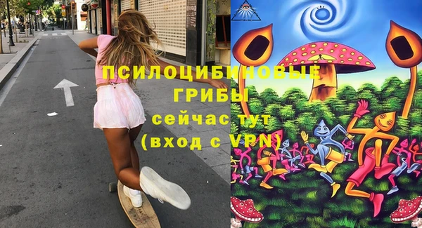 гидра Богородск