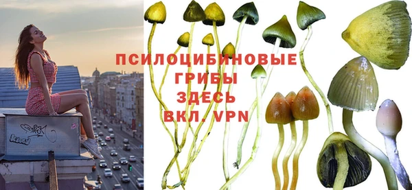 гидра Богородск