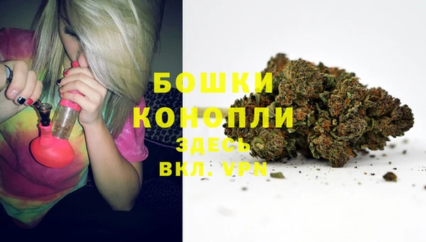 гидра Богородск