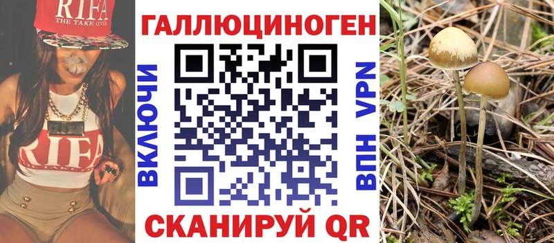 Галлюциногенные грибы Psilocybine cubensis  даркнет сайт  Монино 
